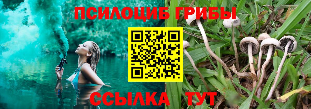 Псилоцибиновые грибы прущие грибы  Вход с VPN  Псилоцибиновые грибы Magic Shrooms  Зима 